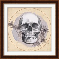 Skull Thistle I Fine Art Print