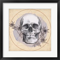 Skull Thistle I Fine Art Print