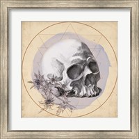 Skull Thistle II Fine Art Print