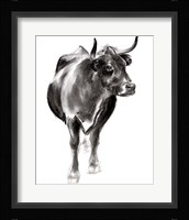 Charcoal Cattle I Framed Print