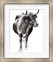 Charcoal Cattle I Fine Art Print