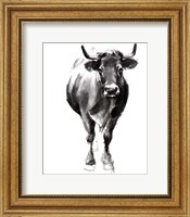 Charcoal Cattle II Fine Art Print