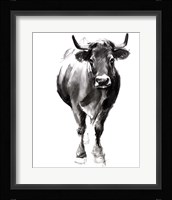 Charcoal Cattle II Framed Print