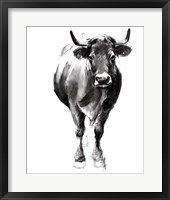 Charcoal Cattle II Fine Art Print