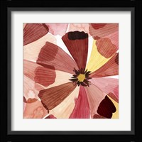 Elementary Flora II Framed Print