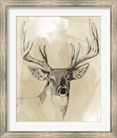 Burnished Buck I Fine Art Print