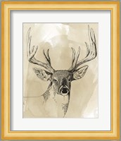 Burnished Buck I Fine Art Print