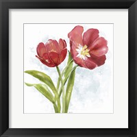 Red Tulip Splash I Fine Art Print