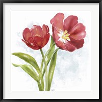 Red Tulip Splash I Fine Art Print