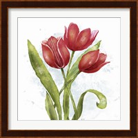 Red Tulip Splash II Fine Art Print