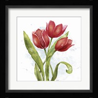 Red Tulip Splash II Fine Art Print