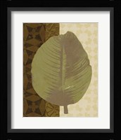 Tropical Leaf II Framed Print