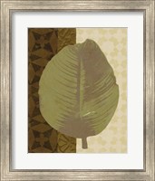Tropical Leaf II Fine Art Print
