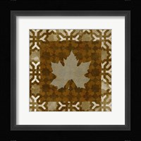 Shades of Brown IV Framed Print