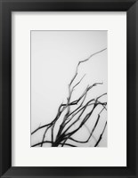 Searching Branches I Fine Art Print