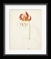 Watercolor Botanical Sketches I Framed Print