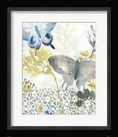 Butterfly Concerto I Framed Print