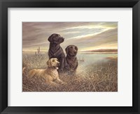 All Grown Up on Grassy Sound Fine Art Print