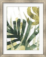 Palm Impression I Fine Art Print