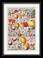 Fruit Chart Fine Art Print