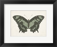 Beautiful Butterfly II Fine Art Print