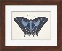 Beautiful Butterfly III Fine Art Print