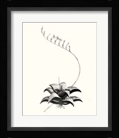 Graphic Succulents II Fine Art Print