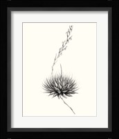 Graphic Succulents V Fine Art Print