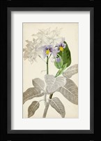 Silvery Botanicals IX Fine Art Print