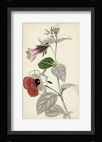 Silvery Botanicals X Fine Art Print
