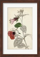 Silvery Botanicals X Fine Art Print
