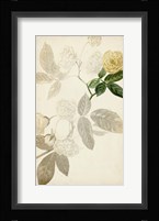 Silvery Botanicals XII Fine Art Print