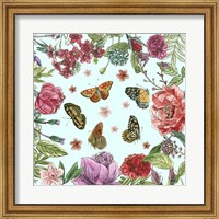 Circular Butterfly II Fine Art Print