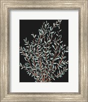 Gunni Eucalyptus I Fine Art Print