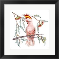 Pink Cockatoo I Fine Art Print