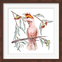 Pink Cockatoo I Fine Art Print
