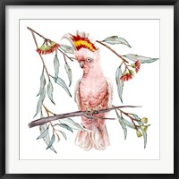 Pink Cockatoo I Fine Art Print