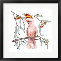 Pink Cockatoo I Fine Art Print