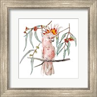 Pink Cockatoo II Fine Art Print