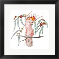 Pink Cockatoo II Fine Art Print