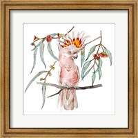 Pink Cockatoo II Fine Art Print