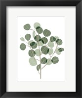 Windy Eucalyptus I Fine Art Print