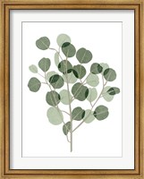 Windy Eucalyptus I Fine Art Print