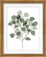 Windy Eucalyptus II Fine Art Print