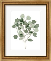 Windy Eucalyptus II Fine Art Print