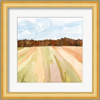 Autumn Crops II Fine Art Print