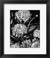 Enchanted Bloom II Fine Art Print