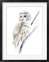 Arctic Owl I Fine Art Print