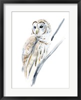 Arctic Owl I Fine Art Print