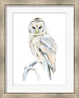 Arctic Owl II Fine Art Print